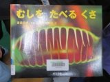 ６興味を誘う絵本.jpg