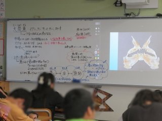 ５年魚.jpg