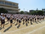 03きれいにならんでいる.jpg