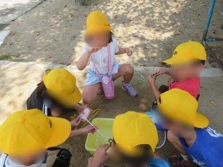 シャボン玉　液につける.jpg