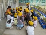 ミニトマト先生の話３.jpg