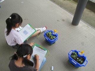 IMG_0003.jpg