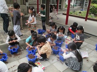 IMG_0004.jpg