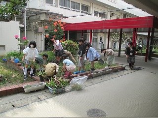 IMG_0005.jpg