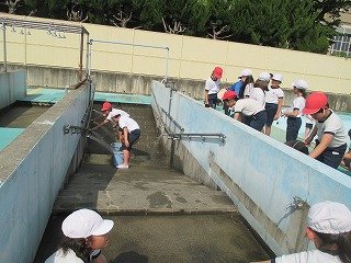 IMG_0004.jpg