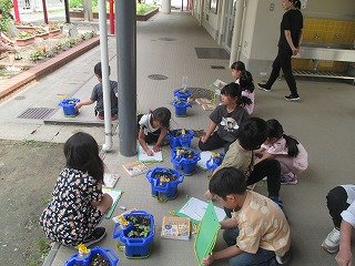 IMG_0002.jpg