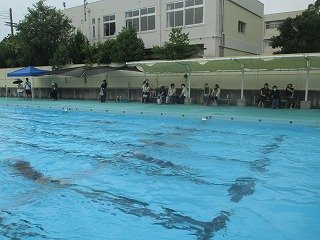 IMG_0003.jpg