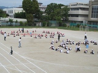 IMG_0004.jpg