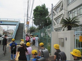 IMG_0019.jpg