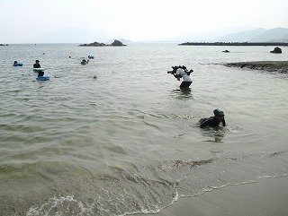 IMG_0020.jpg