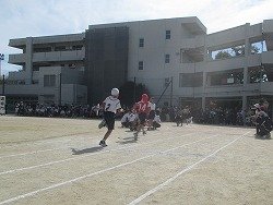 IMG_0009.jpg