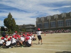 IMG_0015.jpg