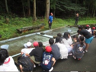 IMG_0006.jpg