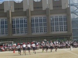 IMG_0017.jpg