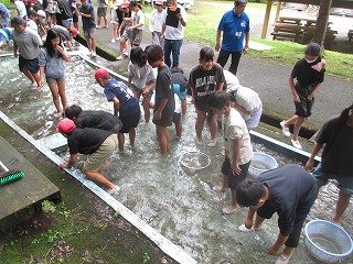 IMG_0009.jpg