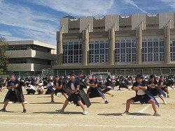 IMG_0050.jpg