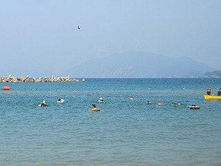 IMG_0044.jpg