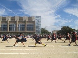 IMG_0048.jpg