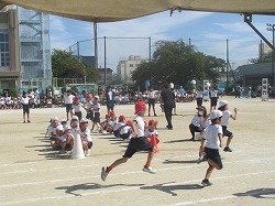 IMG_0061.jpg