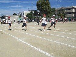 IMG_0062.jpg
