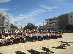 IMG_0080.jpg