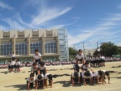 IMG_0084.jpg