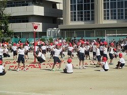 IMG_0093.jpg