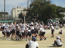 IMG_0094.jpg