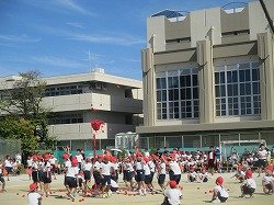 IMG_0096.jpg