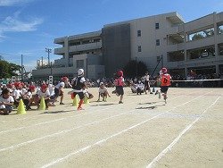 IMG_0100.jpg