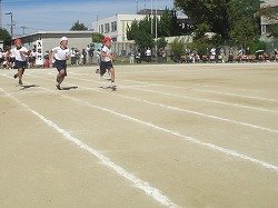 IMG_0102.jpg