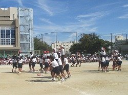 IMG_0109.jpg
