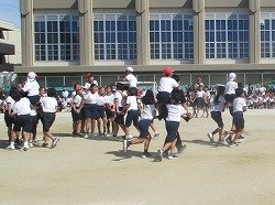 IMG_0110.jpg