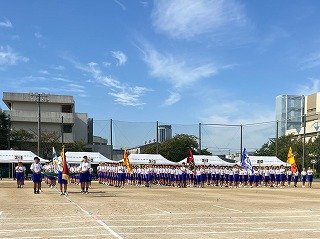 IMG_3503.jpg