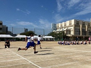 IMG_3507.jpg