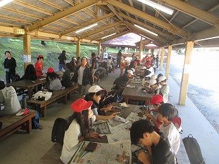 IMG_0001.jpg