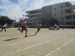 IMG_0022.jpg
