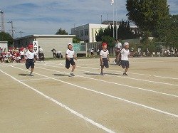 IMG_0006.jpg