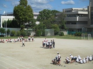 IMG_0006.jpg