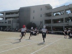 IMG_0003.jpg