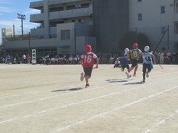 IMG_0064.jpg