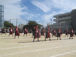 IMG_0043.jpg