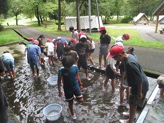 IMG_0012.jpg