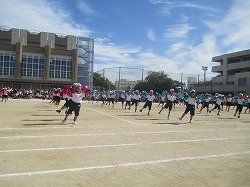 IMG_0030.jpg