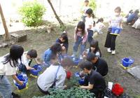 IMG_5976.JPG