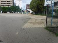 DSCF7019.JPG