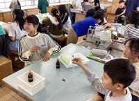だ液実験②.jpg