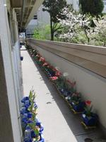 IMG_5925.JPG