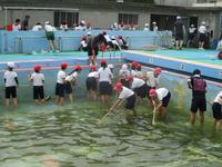 IMG_6156.JPG