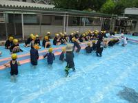 IMG_6430.JPG